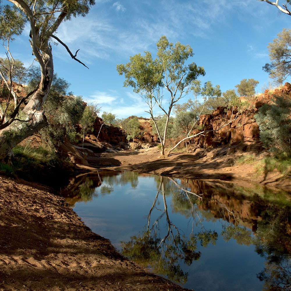 MPS Law image waterhole